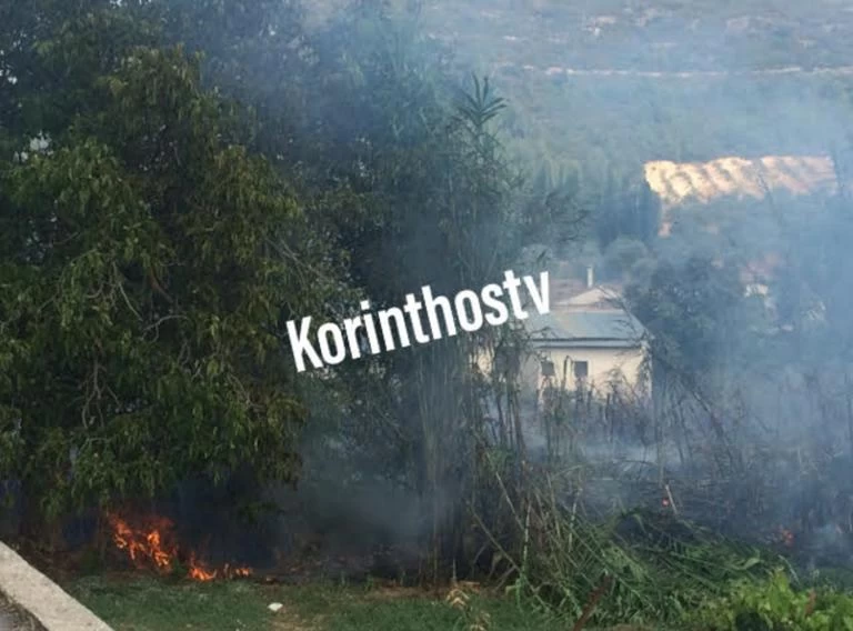 Πλησιάζει σπίτια η φωτιά στην Αρχαία Νεμέα (βίντεο)